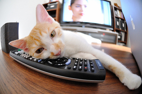 九游娱乐-“足球+互联网++体育+文化”融合发展新格局逐步明朗，如何打造足球体育文化