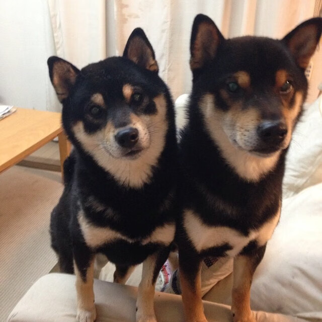 北京队打造青春风暴，培养年轻球员成为重点，北京青年队篮球队