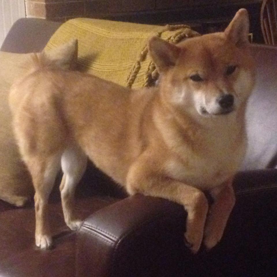 史上最震撼逆转：你记得哪一场比赛？，十大经典逆转赛事